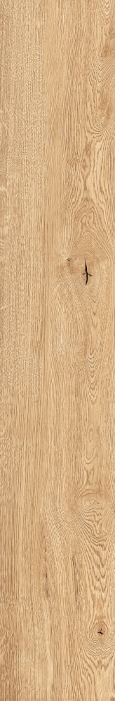 Плитка Allore Group Armario Honey F PR R Mat 19,8x120 см