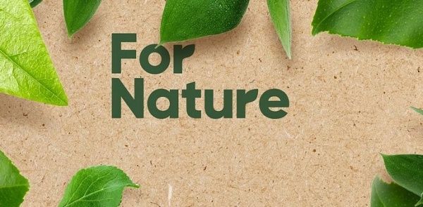 Фольга пищевая Paclan For Nature 15 м