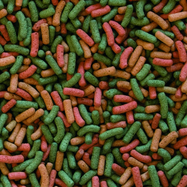 Корм Tropical для рептилій Тропікал БІОРЕПТ В у вигляді гранул 300 г