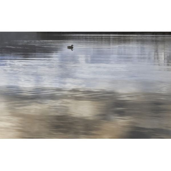 Декор Golden Tile Wanaka №6 171361 250x400 мм бежевий