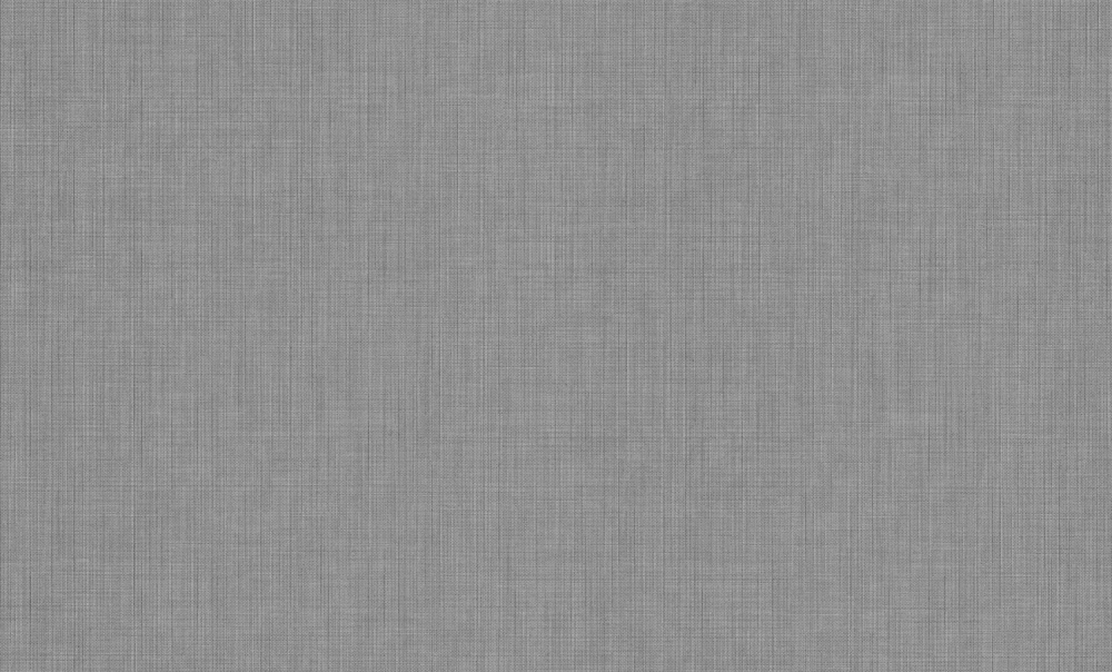 Шпалери вінілові на флізеліновій основі PROfhome РН 100 Р 05 1,06x10,05 м