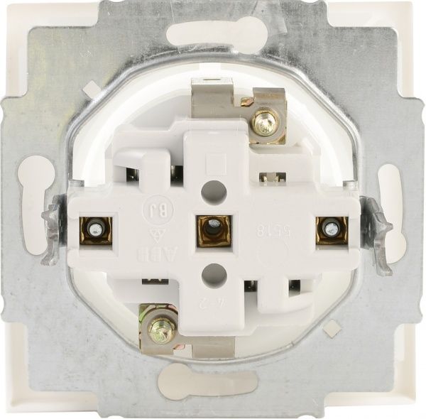 Розетка із заземленням ABB Neo SCHUKO 16 А 250 В зі шторками білий