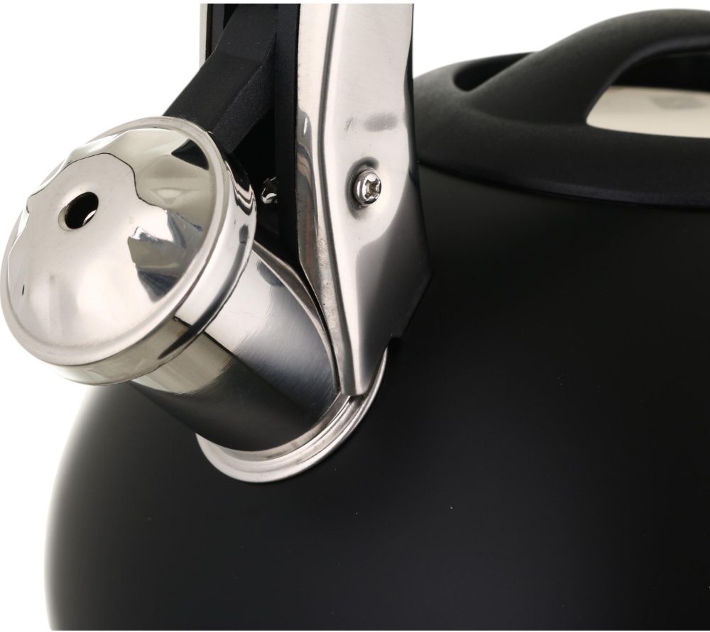 Чайник Flamberg Premium EB-TK3001-H 3 л черный