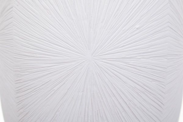 Ершик для унитаза Luna web белый