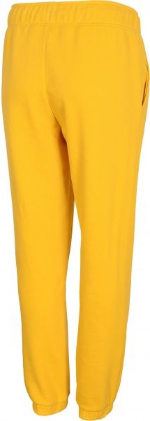 Брюки 4F D4Z20-SPDD242-71S р. XS желтый
