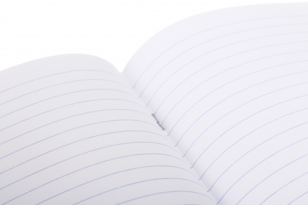 Тетрадь школьная Dinosaur 12 листов линия Nota Bene