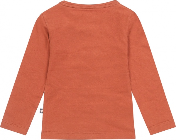 Реглан для дівчинки Dirkje р.98 арабська пряність U44441-35 