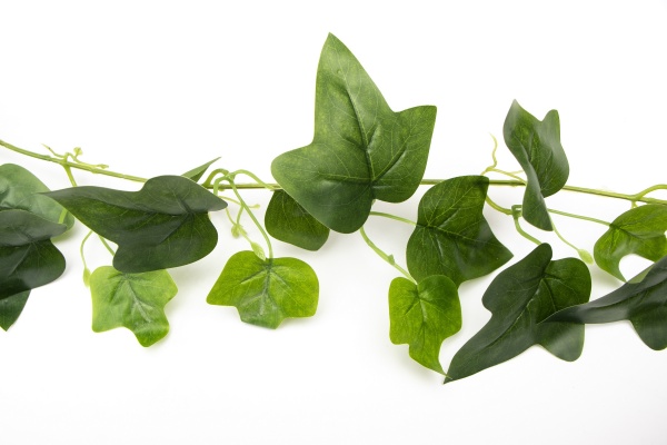 Гілочка декоративна з листям 230 см зелена 631932