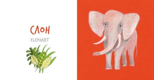 Книга Катерина Таберко «Собери Радугу. Животные Африки» 978-617-7395-11-8