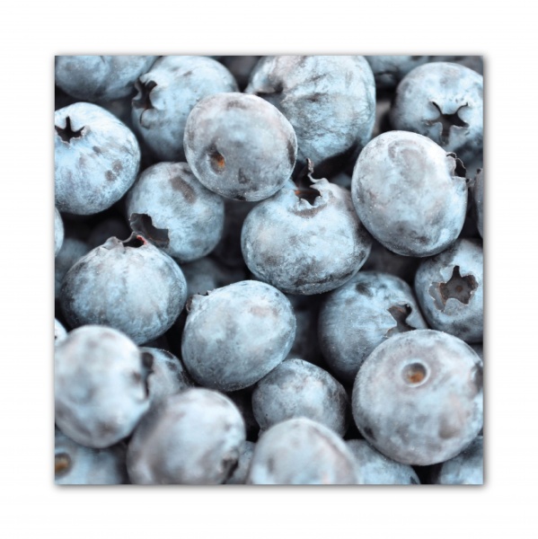 Картина Голубика 500x500 см GIS UKRAINE 