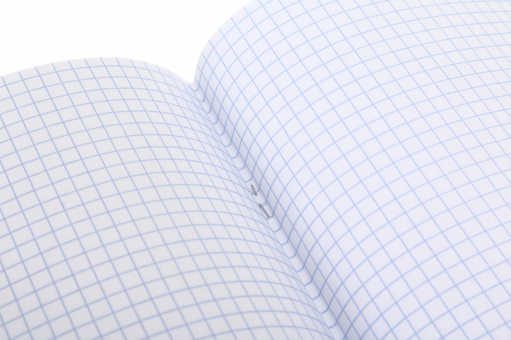 Тетрадь школьная Anime24 24 листа скоба клетка_2 Nota Bene