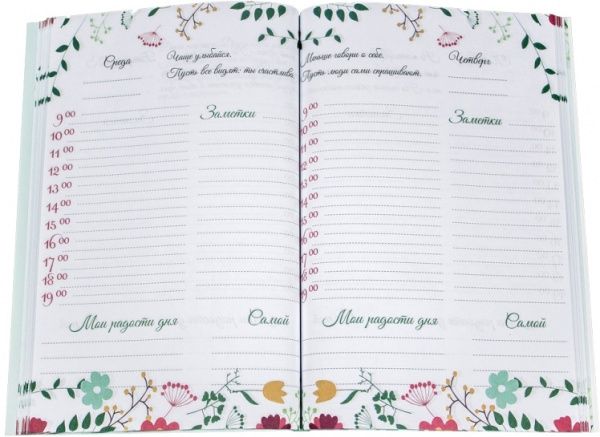 Дневник Positive book зеленый Uprofi plan