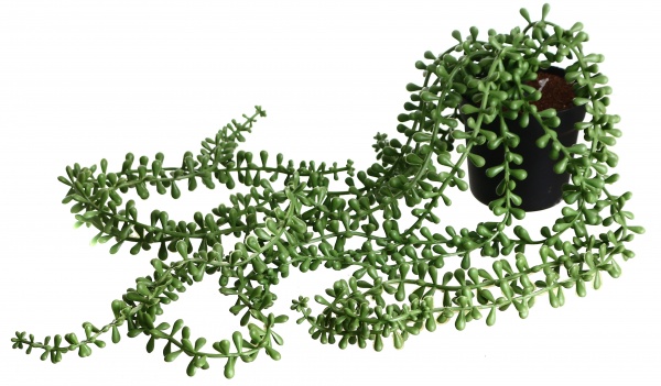 Растение искусственное Плющ Слезы Будды 70 см (JYS23-306)