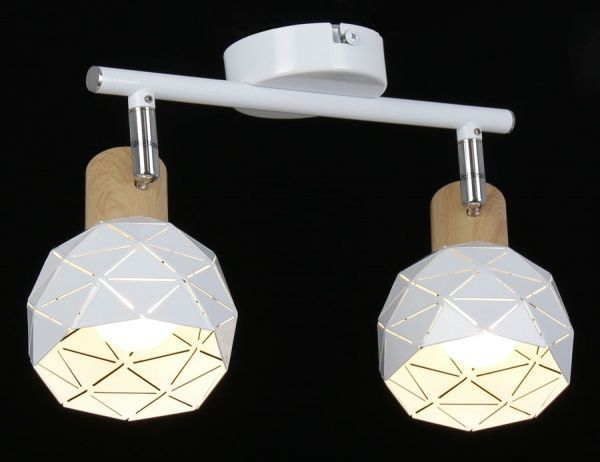 Спот Accento lighting ALIN-Islandia-2 2x40 Вт E14 білий 