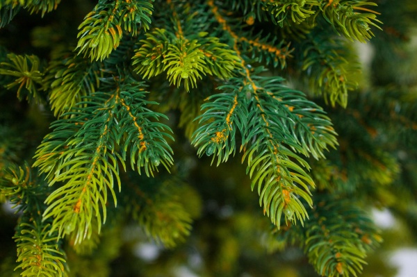 Искусственная елкаАрия/Н-210 зеленый 