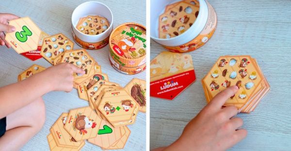 Игра настольная Ludum Чудо в перьях LG2045-57