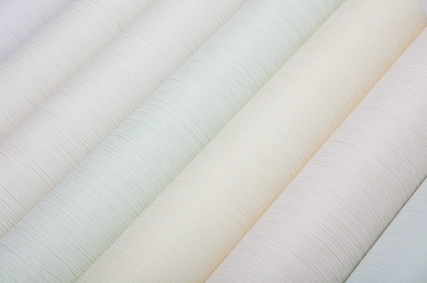 Шпалери вінілові на паперовій основі Bravo 85049BR26 0,53x10,05 м 