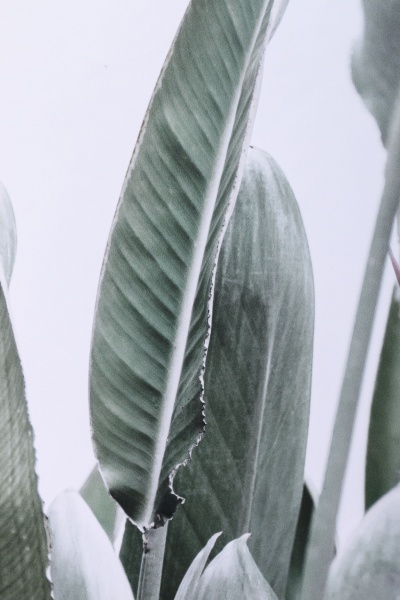 Картина Bali 50x70 см Styler OB-14049 