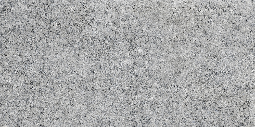 Плитка Allore Group Granito Grey F P R Mat 30х60 см