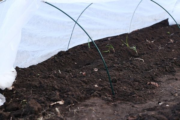 Парник Agrolife 30 г/кв.м 2 м