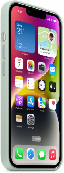 Чохол Apple Silicone Case with MagSafe для iPhone 14 succulent (MPT13ZE/A)