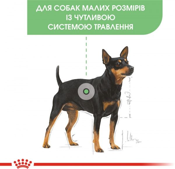 Корм Royal Canin для собак MINI DIGESTIVE CARE (Мини Дайджестив Кер), 1 кг