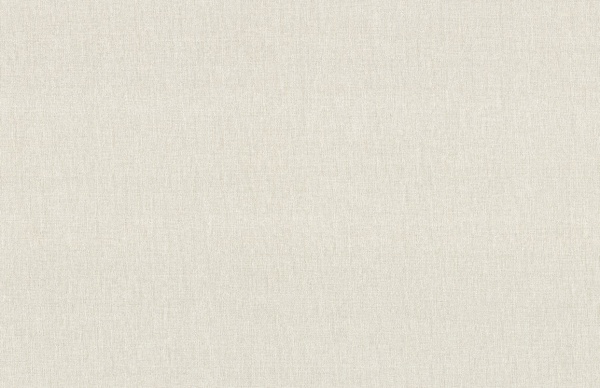 Обои виниловые на флизелиновой основе Vinil Тигго стена ЭШТ 1-1536 1,06x10,05 м 