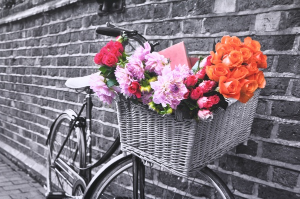 Репродукция 80х107 см AF20110827 Bicycles 171C02 RozenfeldArt 