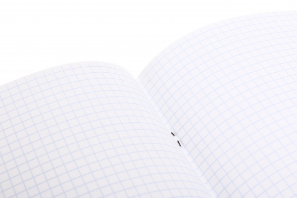 Тетрадь школьная с глитером 48 листов в клеточку в ассортименте Мечты сбываются