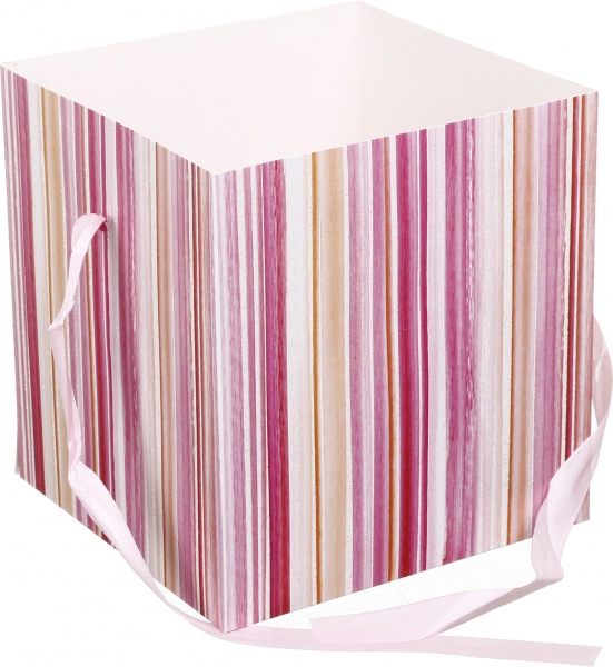 Коробка складная Полосы/горох 20x20x20 см (EBXM9801)