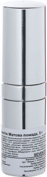 Помада губная Seventeen Matte Lasting Lipstick №37 5 г