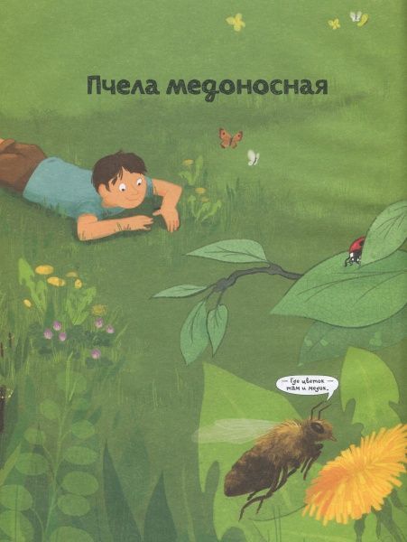 Книга «Книга Бджоли.Про що говорять тварини.»