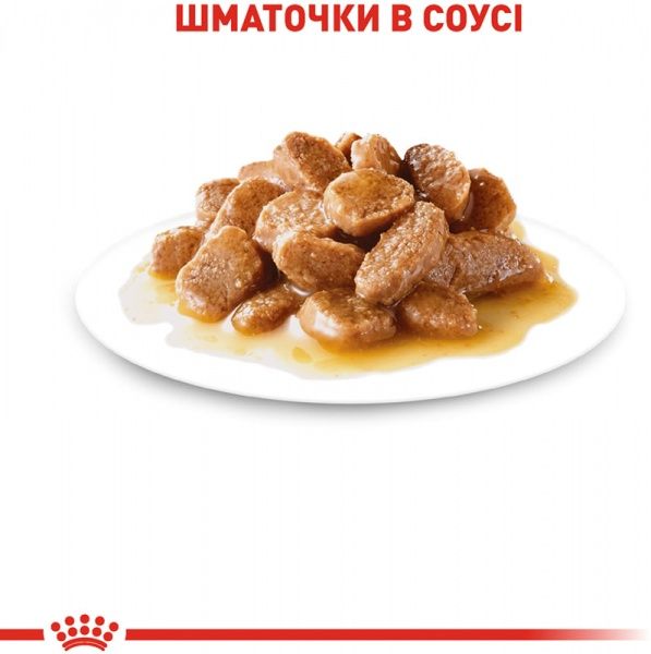 Корм Royal Canin для собак MINI ADULT (Мини Эдалт соус), пауч, 85 г