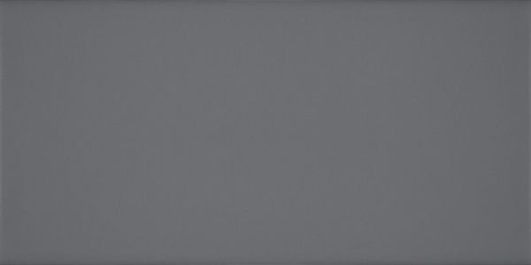 Плитка Атем MONO GR 25x60 