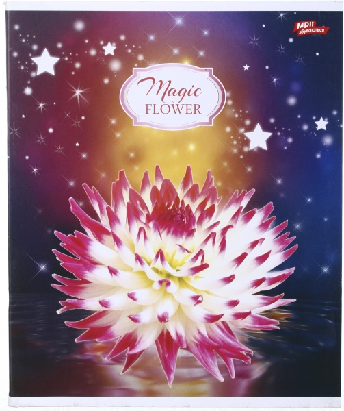 Зошит шкільний 60 аркушів у клітинку в асортименті Мрії збуваються