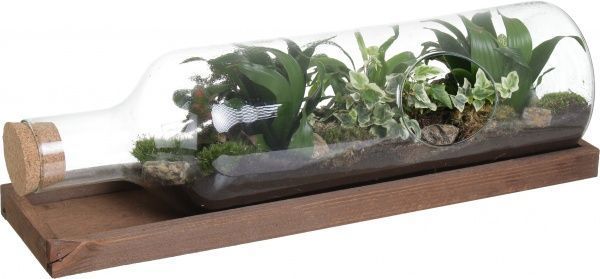 Рослина декоративна Тераріум у горизонтальній пляшці 58/25