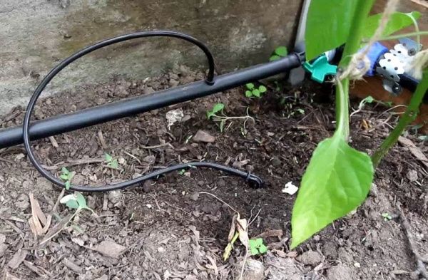 Набор Promaster для капельного полива 