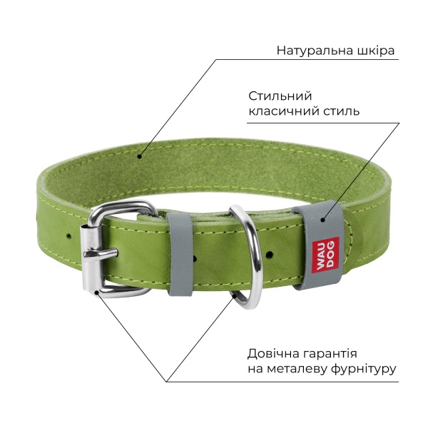 Нашийник Waudog Classic для собак шкіряний S 20 мм x 30-39 см салатовий