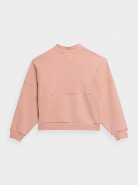 Свитшот 4F SWEATSHIRT F594 4FSS23TSWSF594-56S р. XS розовый