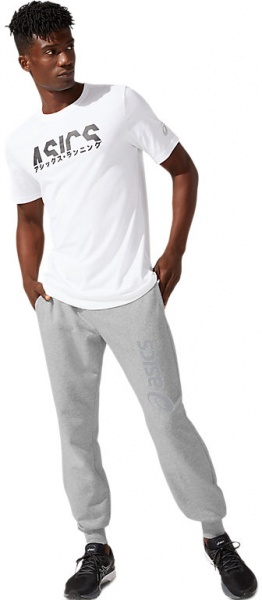 Штани Asics ASICS BIG LOGO SWEAT PANT 2031A977-026 р. L сірий