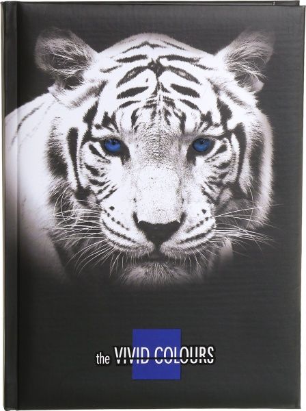 Блокнот Vivid Colours Тигр А4 96 арк. 13589 Тетрада