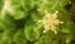 Как создать праздничную и уютную атмосферу: в доме, ресторане, офисе.