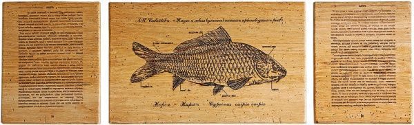 Картина Fish-Point триптих 