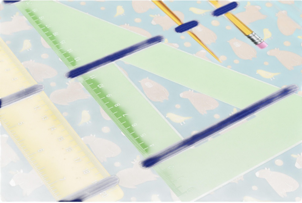 Папка для труда Capybara (iTEM360\TR\Kapi) Nota Bene