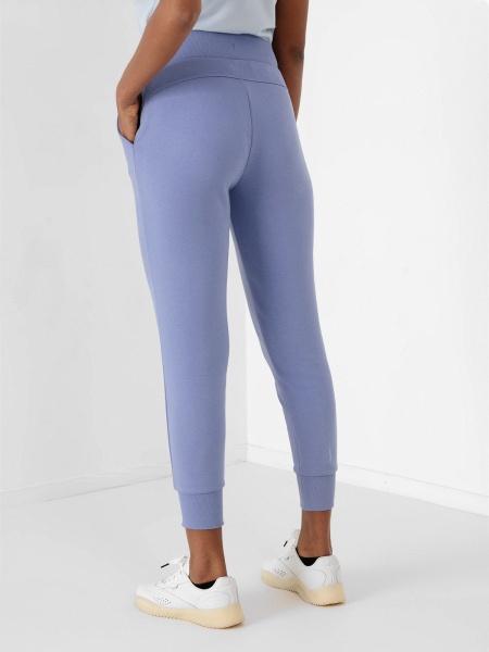 Брюки 4F NOSH4-SPDD351-32S р. XS фиолетовый