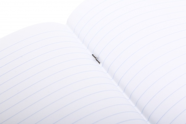 Зошит шкільний уф-лак 12 аркушів у лінійку в асортименті Мрії збуваються