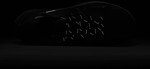 Кросівки Nike REACT PEGASUS TRAIL 4 GORE-TEX DJ7926-001 р.45,5 чорний