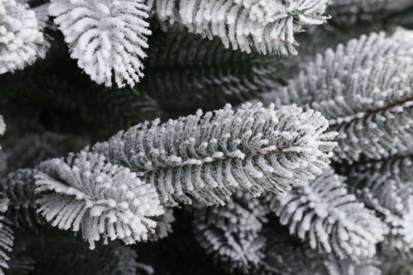 Искусственная елкаЛапландская 2,3 м заснеженная зеленый с белым 