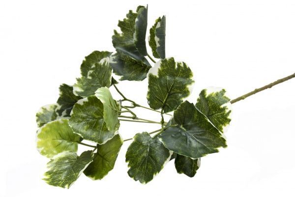 Цветок искусственный веточка Полисциас 67 см светло-зеленая 631604