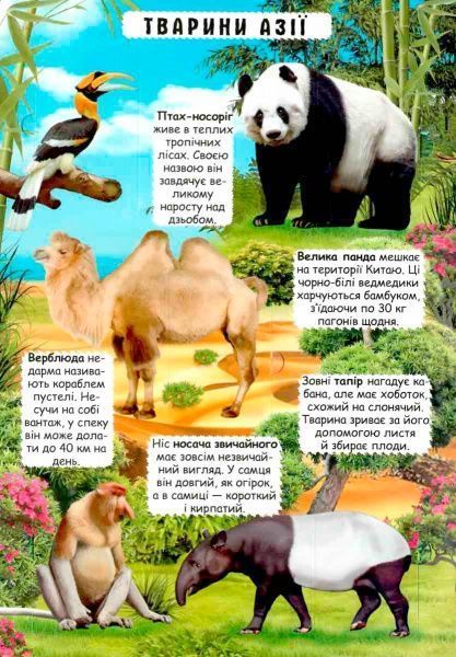 Книга «Книжка з секретними віконцями. Відкрий та дізнайся. Тварини планети Земля» 978-966-936-950-5